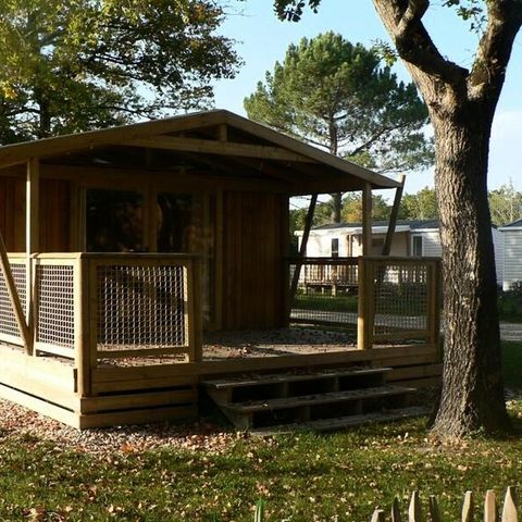 CHALET 6 personnes - Lodge Premium 3 Pièces 4/6 Personnes + TV