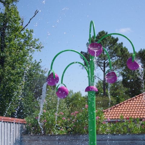 Camping Paradis Le Tastesoule - Camping Gironde - Image N°5