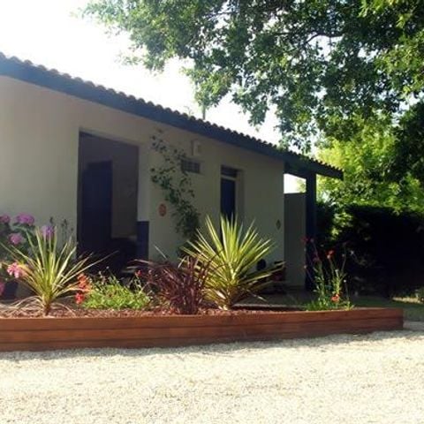 PIAZZOLA - Piazzola con elettricità