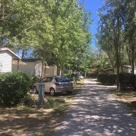 Camping Les Sablines Camping Les Sablines - Camping Herault - Image N°17