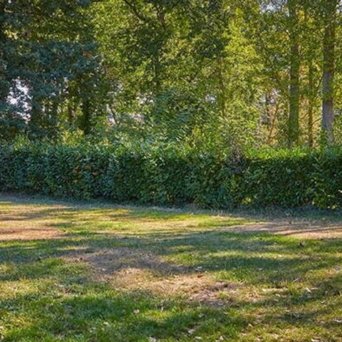 Kampeerplaats - Standplaats | Essentieel | Tent | Voertuig -7m | <100m² | Elektriciteit | Geen water
