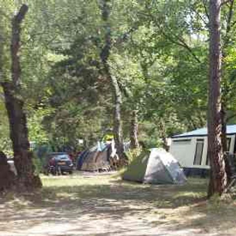 PIAZZOLA