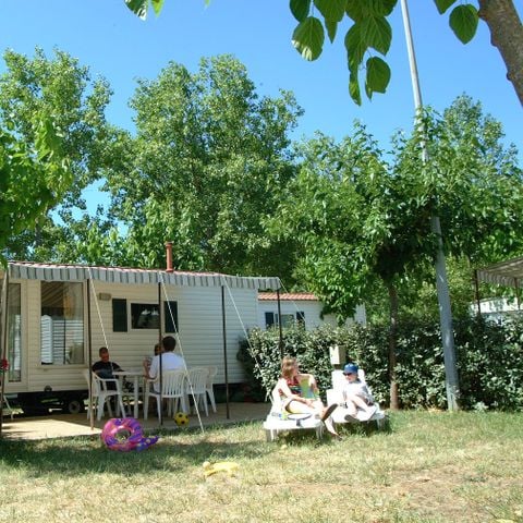 CASA MOBILE 4 persone - TAMPICO - 2 Camere da letto - DOMENICO