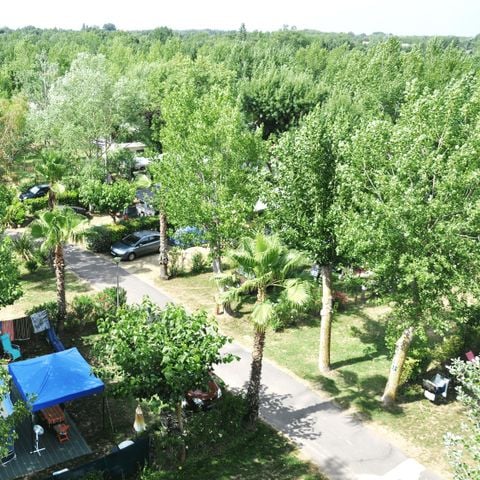 Kampeerplaats - 6A