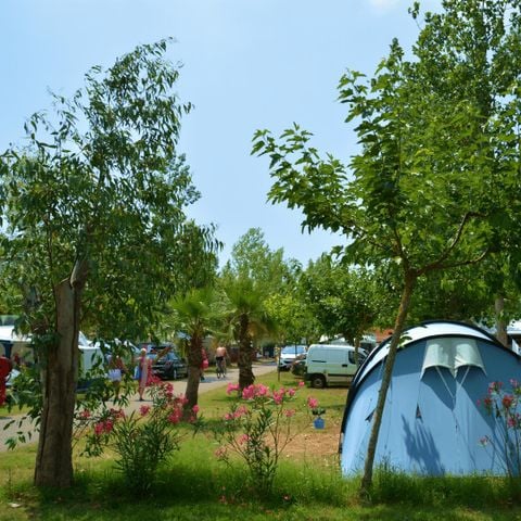Kampeerplaats - 6A