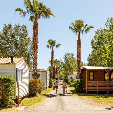 Camping L'Air Marin - Camping Hérault - Image N°2