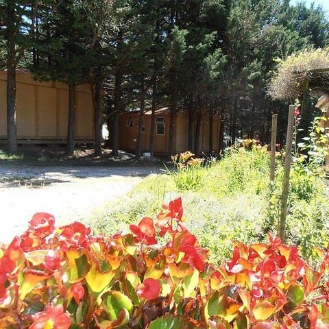 CHALET 5 persone - Comfort