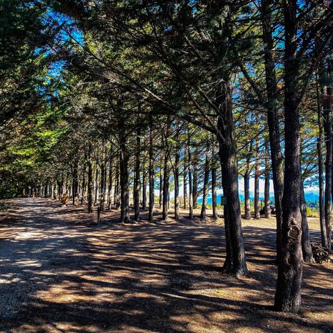 PARCELA - Parcela + 1 tienda o caravana