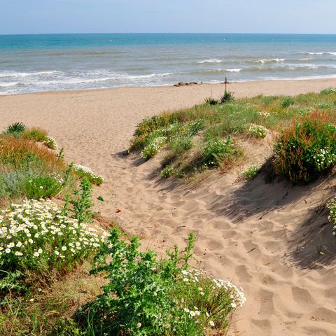 Camping Sea Green L'Occitan Camping Sea Green L'Occitan - Camping Herault - Image N°26