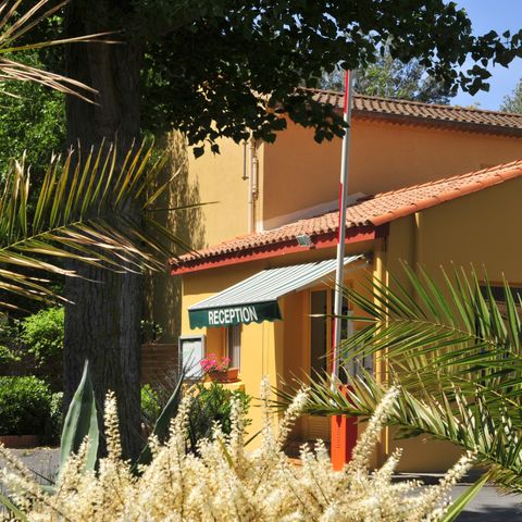 Camping Sea Green Les Cigales Camping Sea Green Les Cigales - Camping Herault - Image N°18