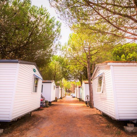 Mobile home 6 persons - Standard - 2 Bedrooms 4/6 persons