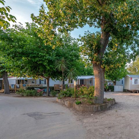 Camping Le Petit Mousse Camping Le Petit Mousse - Camping Herault - Image N°31