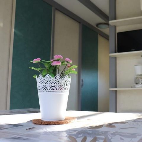 CHALET 4 personas - ECO ESTÁNDAR