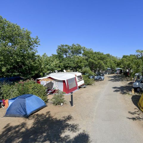 STAANPLAATS - Freecamp pakket (1 tent, caravan of camper / 1 auto / 8A elektriciteit met individuele keuken en badkamer)