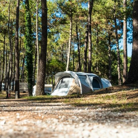 EMPLACEMENT - avec électricité
