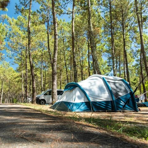 PARCELA - con electricidad