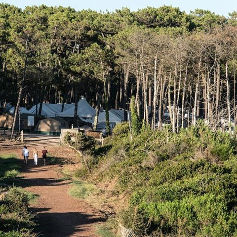 Camping Campéole Les Tourterelles Camping Campéole Les Tourterelles - Camping Landes - Image N°13