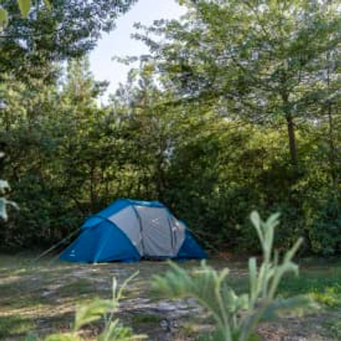 STAANPLAATS - Locatie Natuur