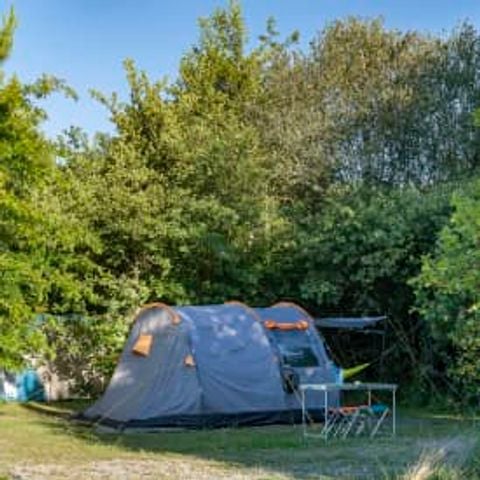 Kampeerplaats - Locatie Natuur