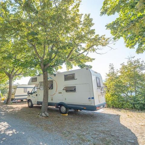 STAANPLAATS - Standplaats (caravan/kampeerauto/vouwwagen)