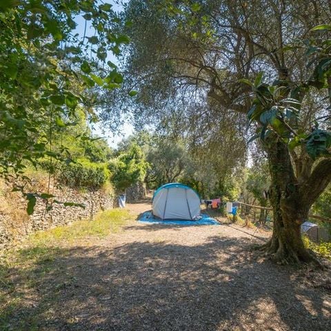 Pitch - Pitch (tent)