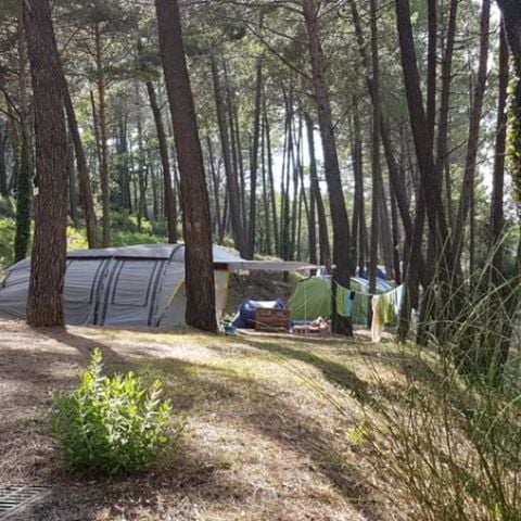 STAANPLAATS - Standplaats 80 m² Tent