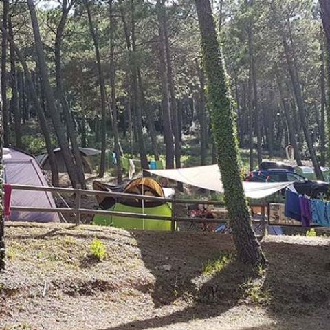 PIAZZOLA - Piazzola 80 m² Tenda