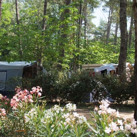 PARCELA - Parcela 100 m² Caravana