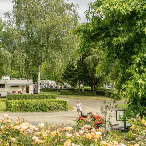 EMPLACEMENT - Forfait Confort : 1 voiture -1 tente, caravane ou camping-car + électricité 8A