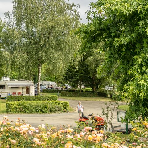 Kampeerplaats - Comfort pakket: 1 auto -1 tent, caravan of camper + 8A elektriciteit