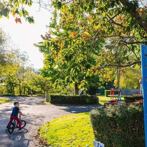 Flower camping Les Chevaliers de Malte - Camping Manche - Image N°3