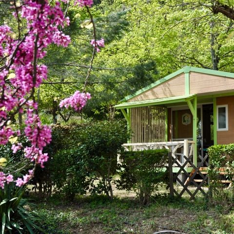 CHALET 5 people - Chalet n°2 ter Club 33 m2 with all comforts and TV