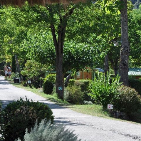 EMPLACEMENT - Emplacement de camping (Tente + voiture ou Caravane ou Camping Car)