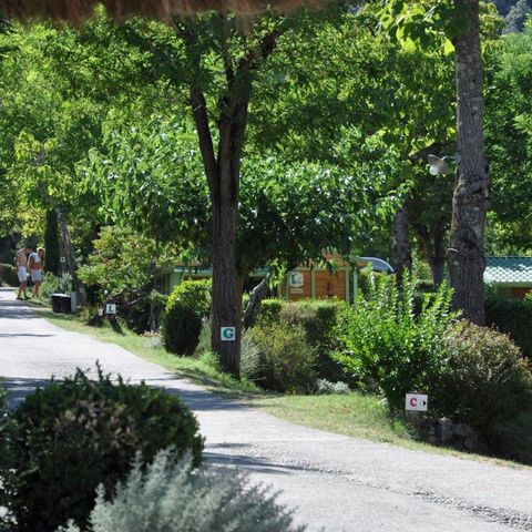 PARCELA - Parcela de camping (Tienda + coche o Caravana o Autocaravana)