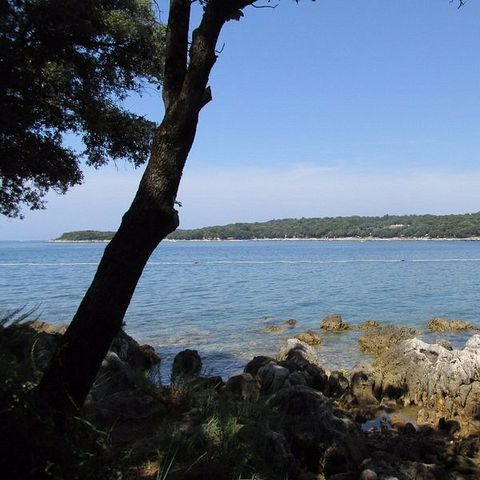 Camping Valkanela Camping Valkanela - Camping Istrie - Image N°37