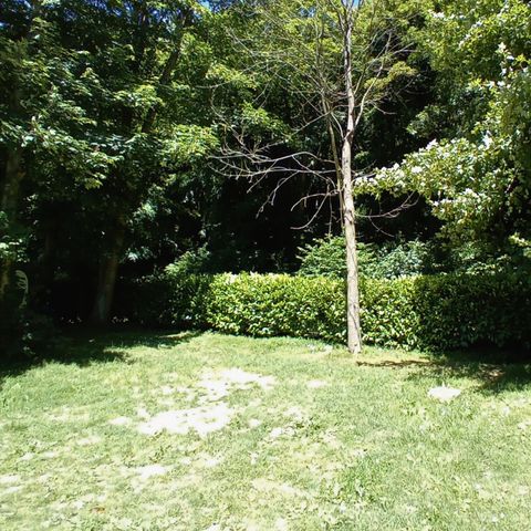 PLOT - Comfort package (1 tent, caravan or camper / 1 car / electricity 6A)