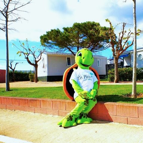 CASA MOBILE 6 persone - Premium 2