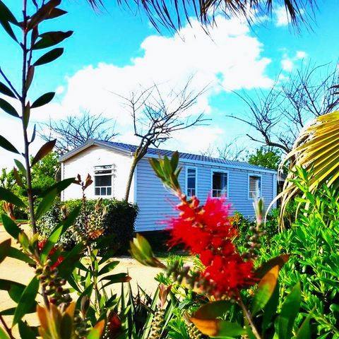 CASA MOBILE 6 persone - Premium 2