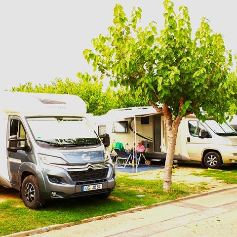 PLOT - Comfort: car + tent or caravan or camper + electricity + water
