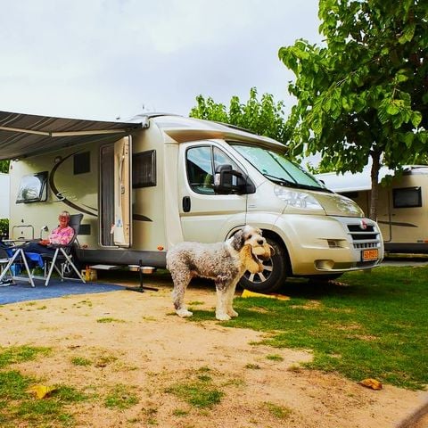 PLOT - Comfort: car + tent or caravan or camper + electricity + water