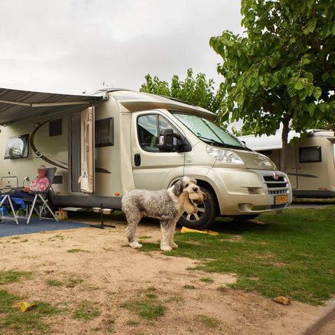 STAANPLAATS - Comfort: auto + tent of caravan of camper + elektriciteit + water