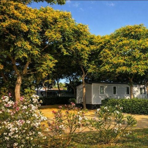 MOBILE HOME 6 people - MH PREMIUM 2