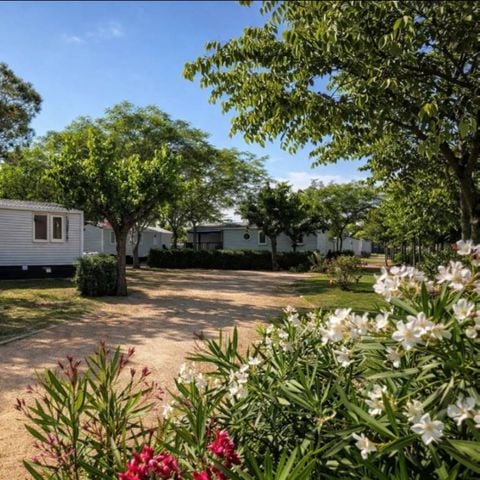 BUNGALOW 6 personnes - MH PREMIUM 2