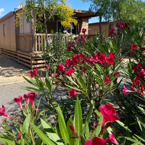 Camping Resort Els Pins Camping Resort Els Pins - Camping Barcelone - Image N°2