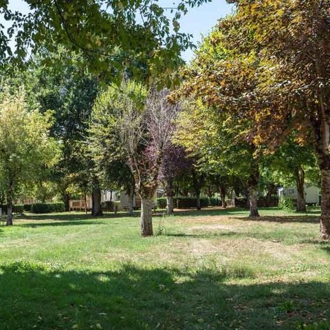 STAANPLAATS - Natuur 6 pers