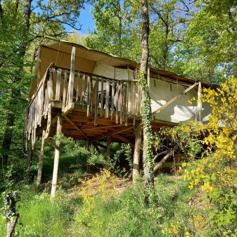 Tent 4 personen - Bos tenten - Bos zone