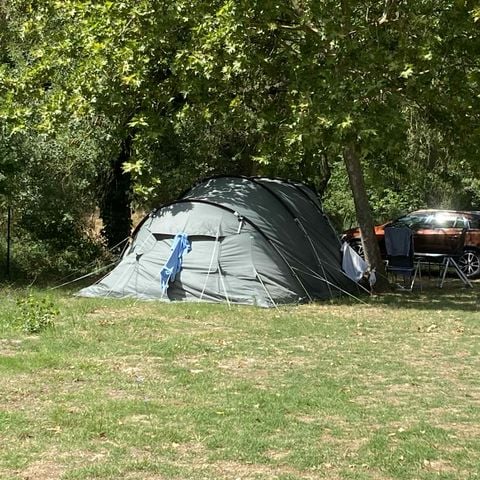 STAANPLAATS - Comfort standplaats (1 tent, caravan of camper / 1 auto + elektriciteit)