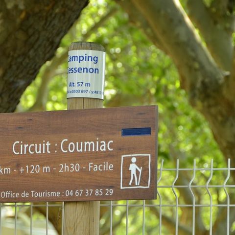 Camping La Plage de l'Orb Camping La Plage de l'Orb - Camping Herault - Image N°9