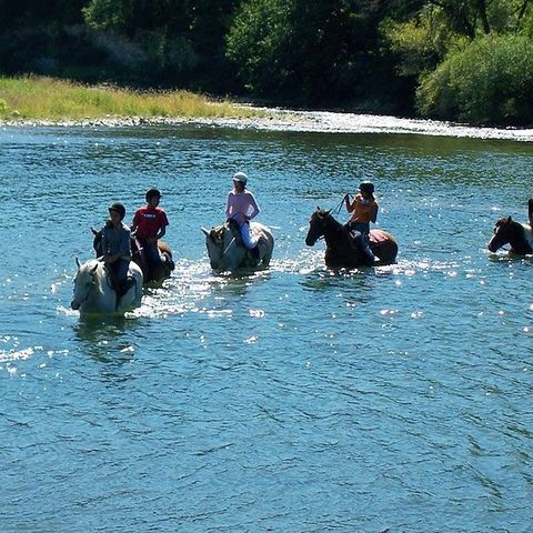 Camping Les Platanes Camping Les Platanes - Camping Ardeche - Image N°16