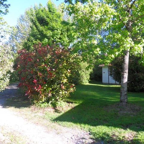 PARCELA - Tienda o caravana + 1 persona (vehículo adicional)